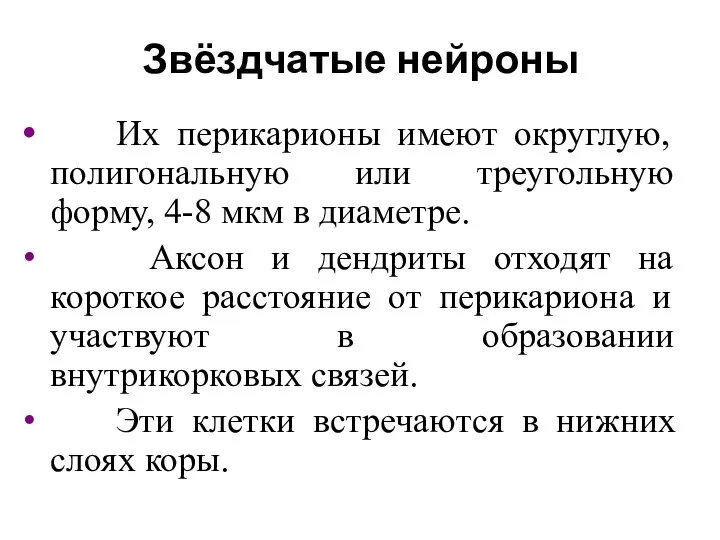 Звёздчатые нейроны Их перикарионы имеют округлую, полигональную или треугольную форму, 4-8