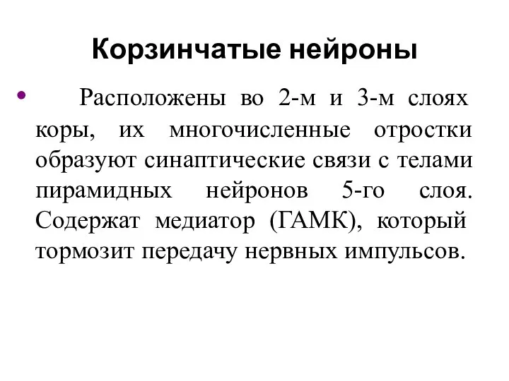 Корзинчатые нейроны Расположены во 2-м и 3-м слоях коры, их многочисленные