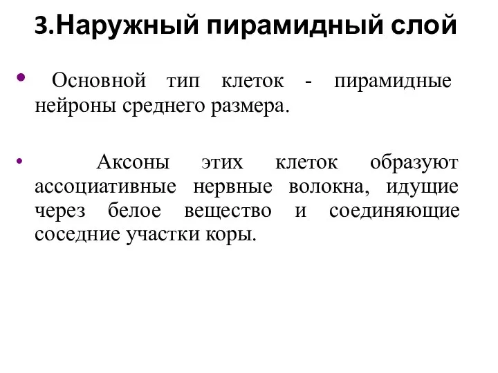 3.Наружный пирамидный слой Основной тип клеток - пирамидные нейроны среднего размера.