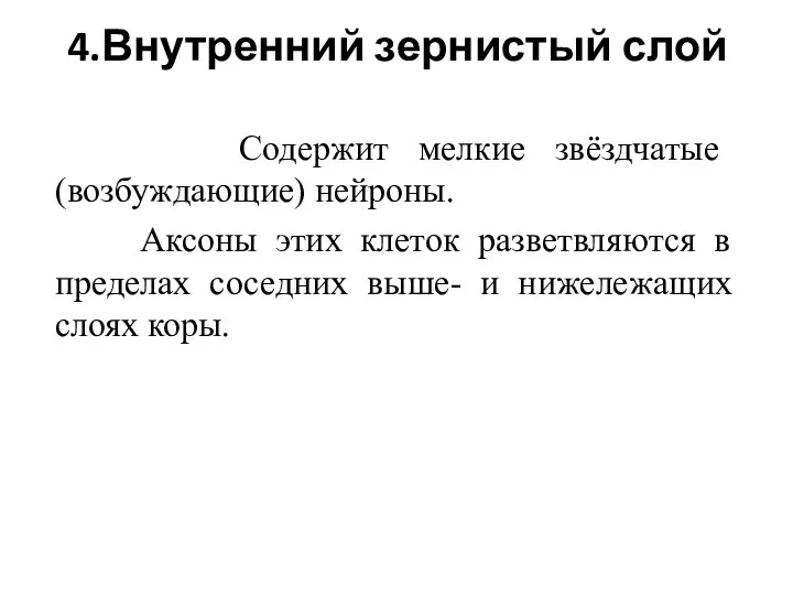 4.Внутренний зернистый слой Содержит мелкие звёздчатые (возбуждающие) нейроны. Аксоны этих клеток