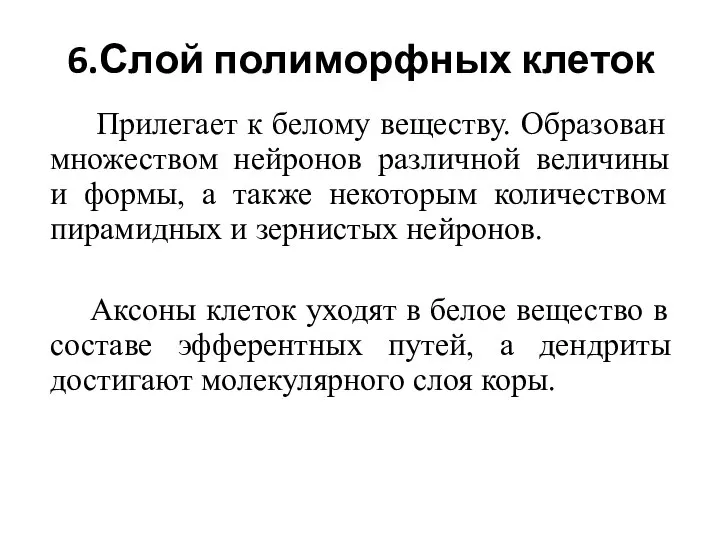 6.Слой полиморфных клеток Прилегает к белому веществу. Образован множеством нейронов различной