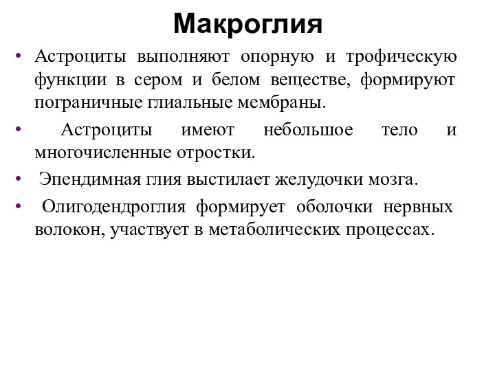 Макроглия Астроциты выполняют опорную и трофическую функции в сером и белом