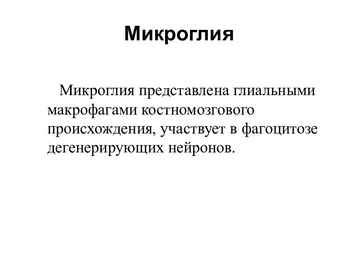 Микроглия Микроглия представлена глиальными макрофагами костномозгового происхождения, участвует в фагоцитозе дегенерирующих нейронов.