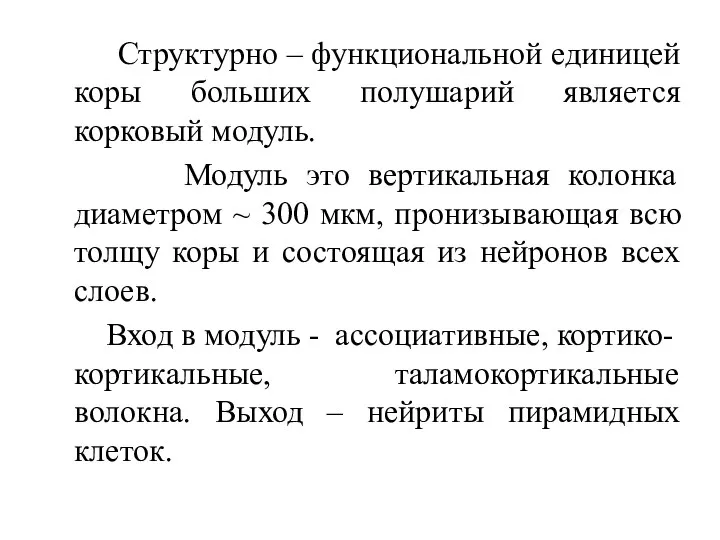 Структурно – функциональной единицей коры больших полушарий является корковый модуль. Модуль