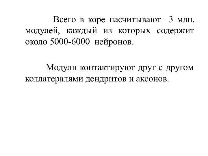 Всего в коре насчитывают 3 млн. модулей, каждый из которых содержит