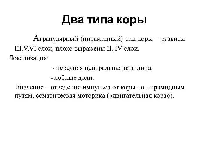 Два типа коры Агранулярный (пирамидный) тип коры – развиты III,V,VI слои,