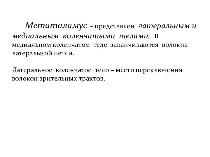 Метаталамус – представлен латеральным и медиальным коленчатыми телами. В медиальном коленчатом