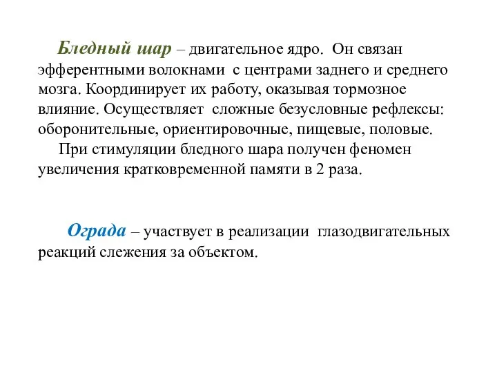 Бледный шар – двигательное ядро. Он связан эфферентными волокнами с центрами