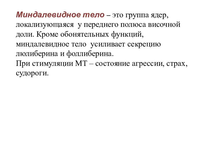 Миндалевидное тело – это группа ядер, локализующаяся у переднего полюса височной