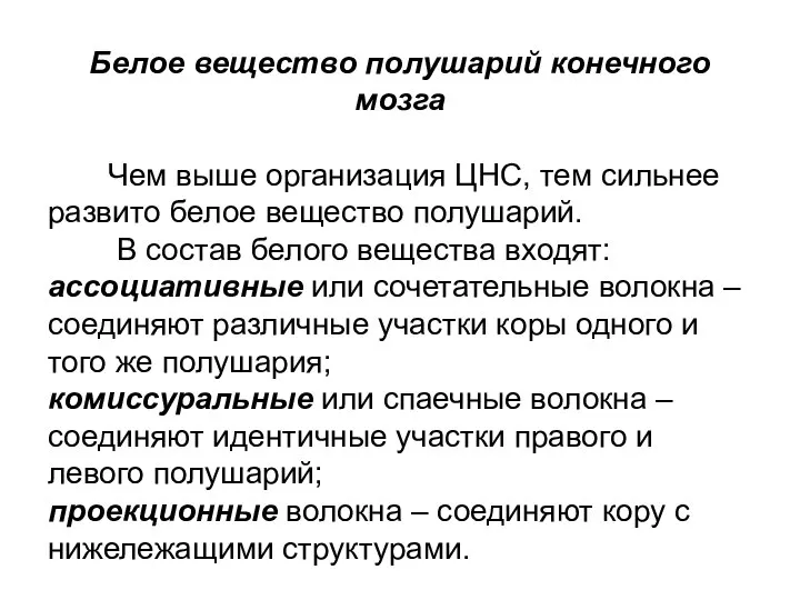 Белое вещество полушарий конечного мозга Чем выше организация ЦНС, тем сильнее