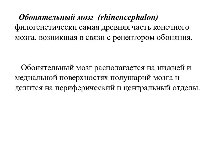 Обонятельный мозг (rhinencephalon) - филогенетически самая древняя часть конечного мозга, возникшая