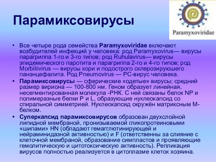 Парамиксовирусы Все четыре рода семейства Paramyxoviridae включают возбудителей инфекций у человека: