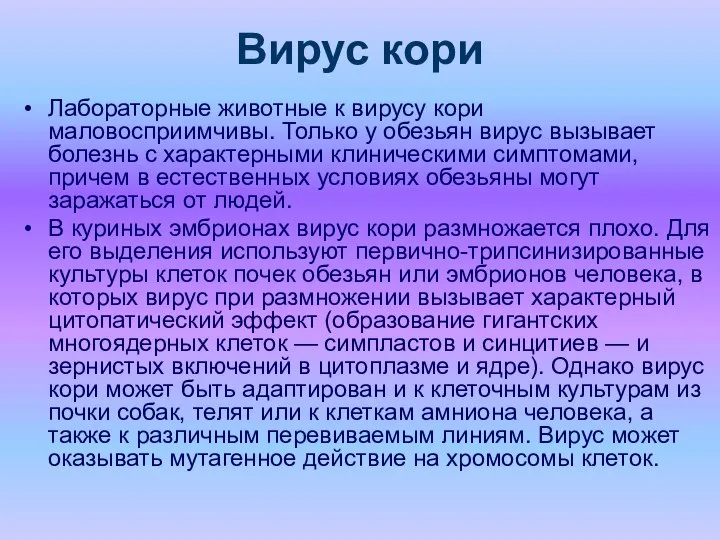 Вирус кори Лабораторные животные к вирусу кори маловосприимчивы. Только у обезьян