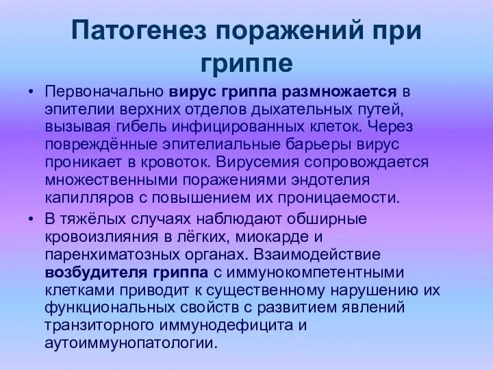 Патогенез поражений при гриппе Первоначально вирус гриппа размножается в эпителии верхних