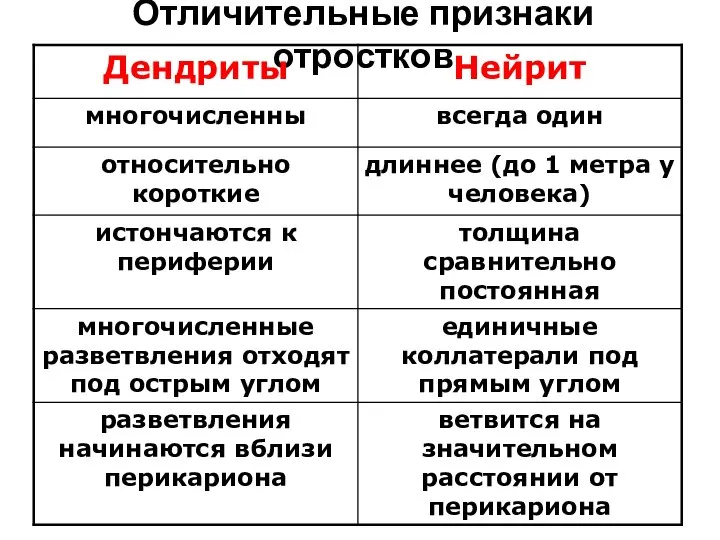 Отличительные признаки отростков