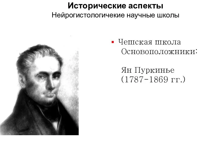 Исторические аспекты Нейрогистологичекие научные школы Чешская школа Основоположники: Ян Пуркинье (1787-1869 гг.)