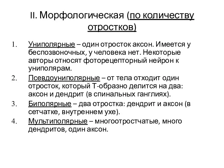 II. Морфологическая (по количеству отростков) Униполярные – один отросток аксон. Имеется