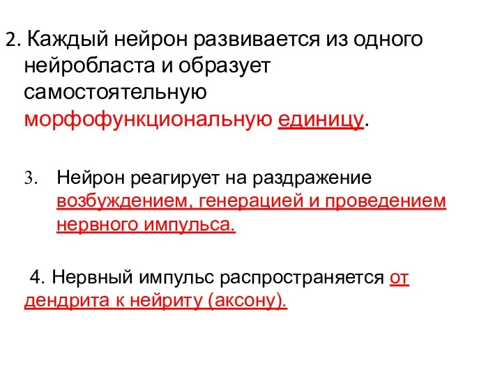 2. Каждый нейрон развивается из одного нейробласта и образует самостоятельную морфофункциональную