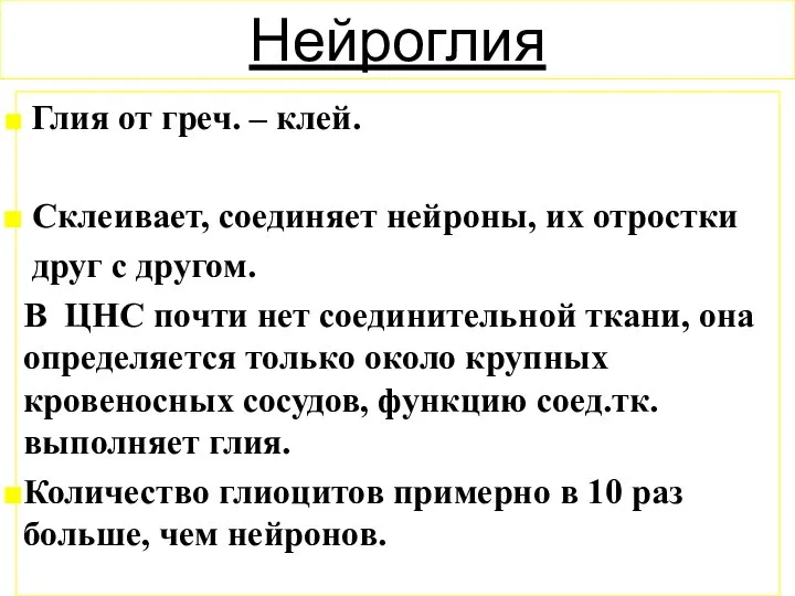 Нейроглия Глия от греч. – клей. Склеивает, соединяет нейроны, их отростки