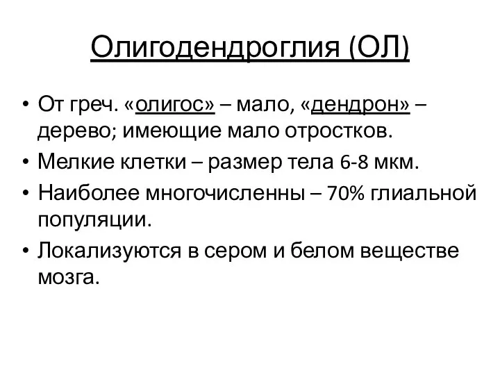 Олигодендроглия (ОЛ) От греч. «олигос» – мало, «дендрон» – дерево; имеющие