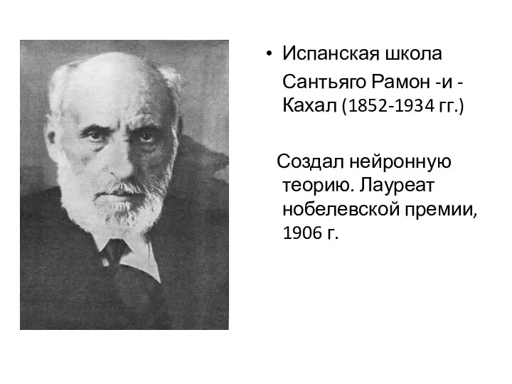 Испанская школа Сантьяго Рамон -и -Кахал (1852-1934 гг.) Создал нейронную теорию. Лауреат нобелевской премии, 1906 г.