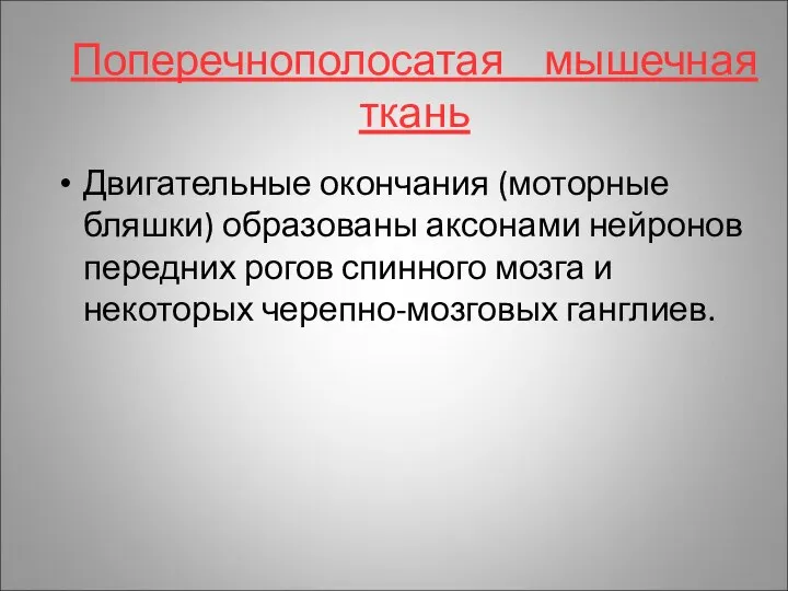 Поперечнополосатая мышечная ткань Двигательные окончания (моторные бляшки) образованы аксонами нейронов передних