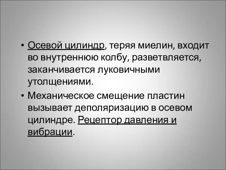 Осевой цилиндр, теряя миелин, входит во внутреннюю колбу, разветвляется, заканчивается луковичными