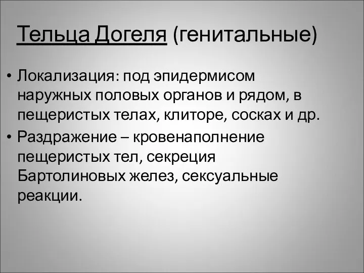 Тельца Догеля (генитальные) Локализация: под эпидермисом наружных половых органов и рядом,