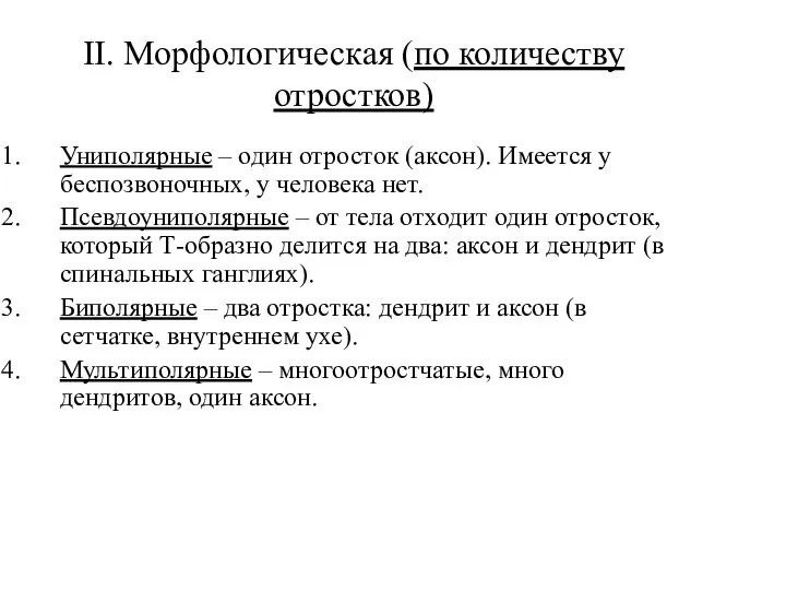 II. Морфологическая (по количеству отростков) Униполярные – один отросток (аксон). Имеется