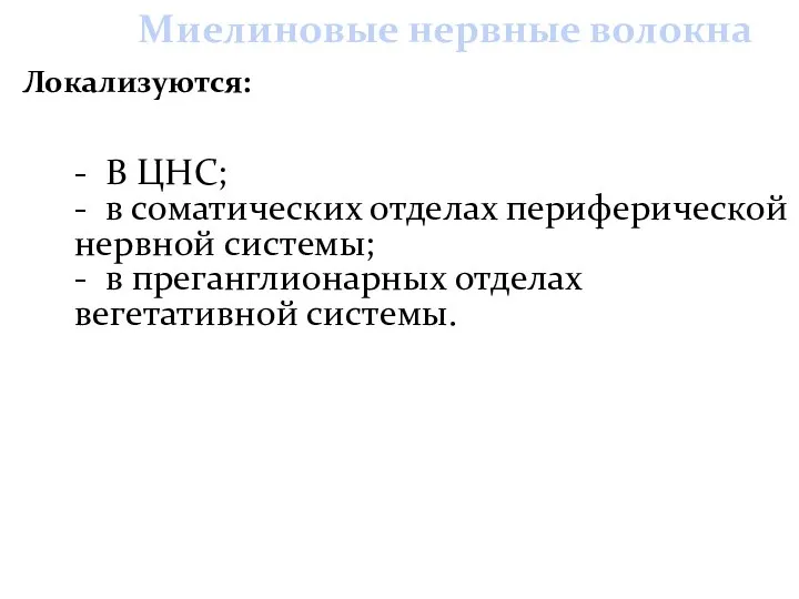 - В ЦНС; - в соматических отделах периферической нервной системы; -