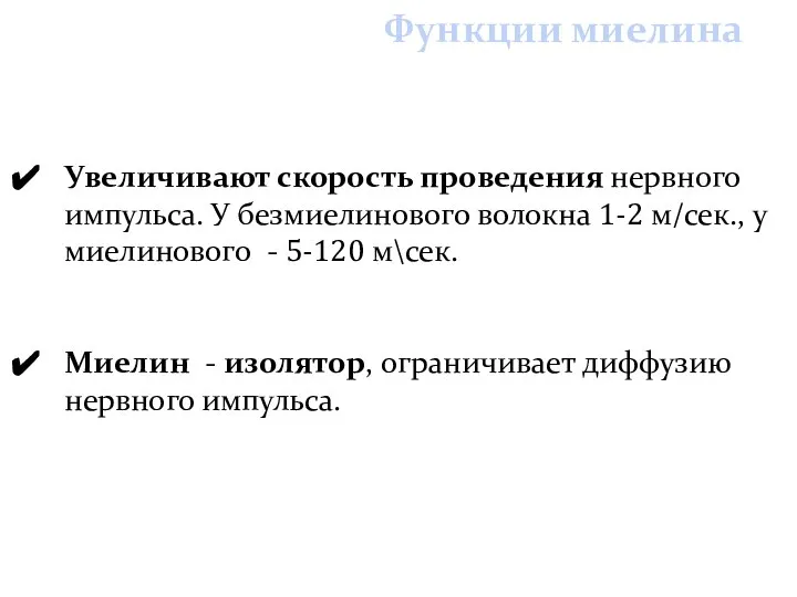 Функции миелина Увеличивают скорость проведения нервного импульса. У безмиелинового волокна 1-2