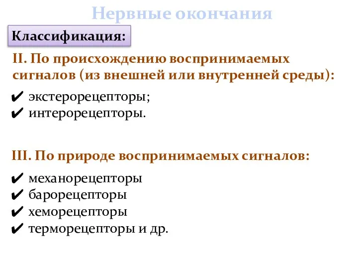 Нервные окончания Классификация: II. По происхождению воспринимаемых сигналов (из внешней или