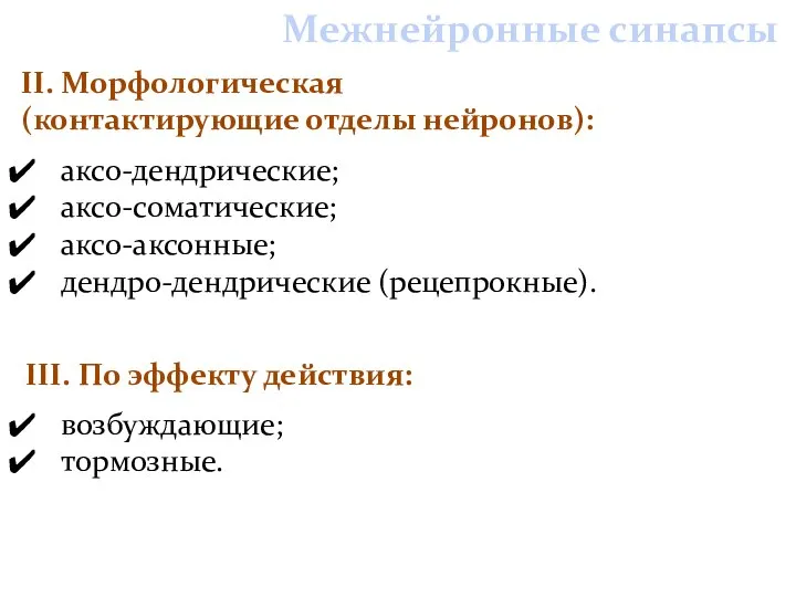 Межнейронные синапсы возбуждающие; тормозные. аксо-дендрические; аксо-соматические; аксо-аксонные; дендро-дендрические (рецепрокные). II. Морфологическая