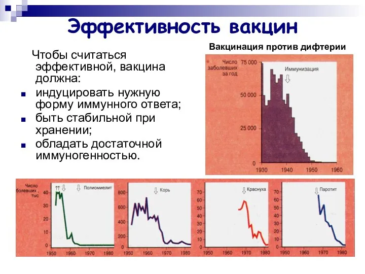 Эффективность вакцин Чтобы считаться эффективной, вакцина должна: индуцировать нужную форму иммунного