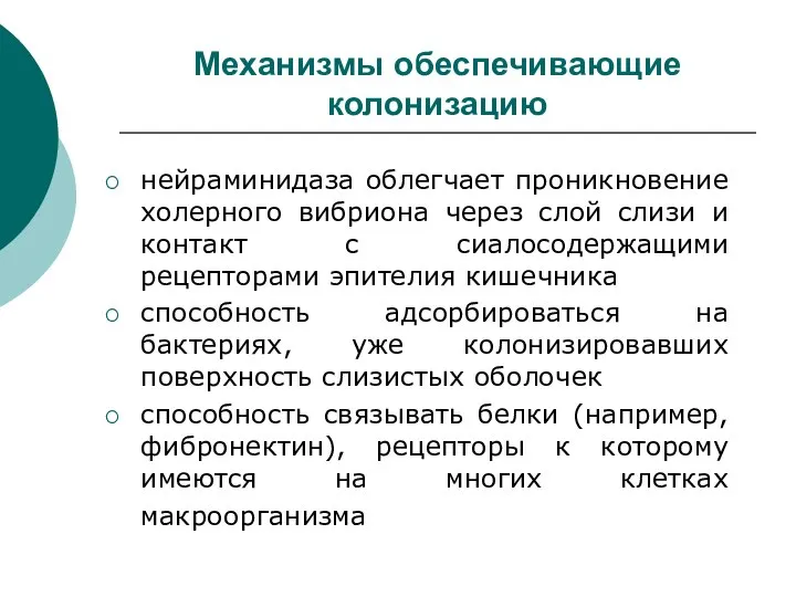 Механизмы обеспечивающие колонизацию нейраминидаза облегчает проникновение холерного вибриона через слой слизи