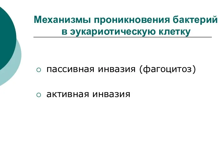 Механизмы проникновения бактерий в эукариотическую клетку пассивная инвазия (фагоцитоз) активная инвазия