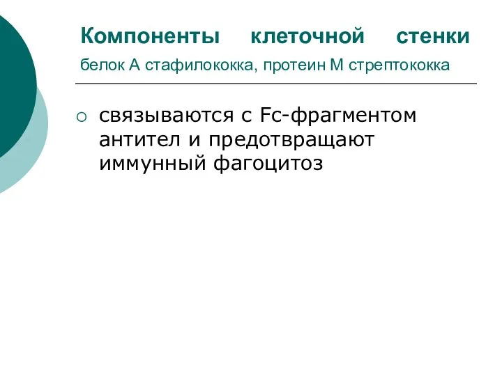 Компоненты клеточной стенки белок А стафилококка, протеин М стрептококка связываются с