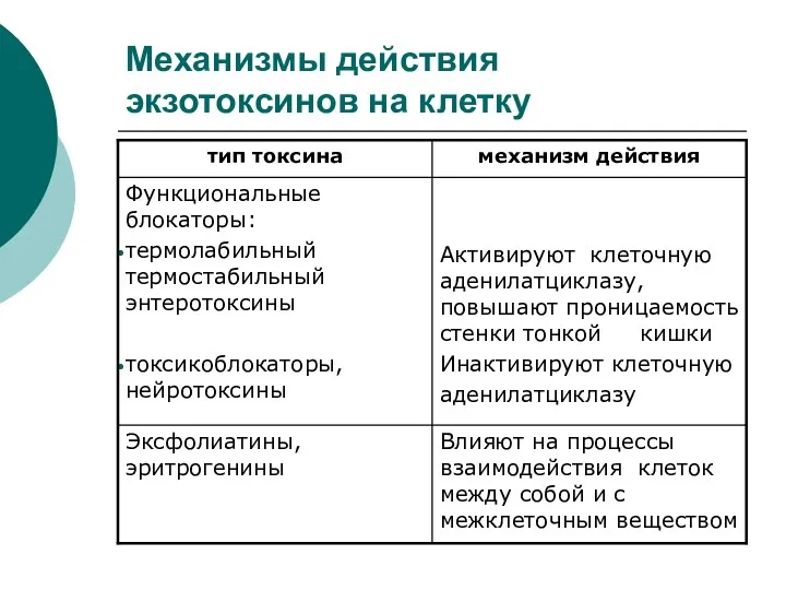 Механизмы действия экзотоксинов на клетку