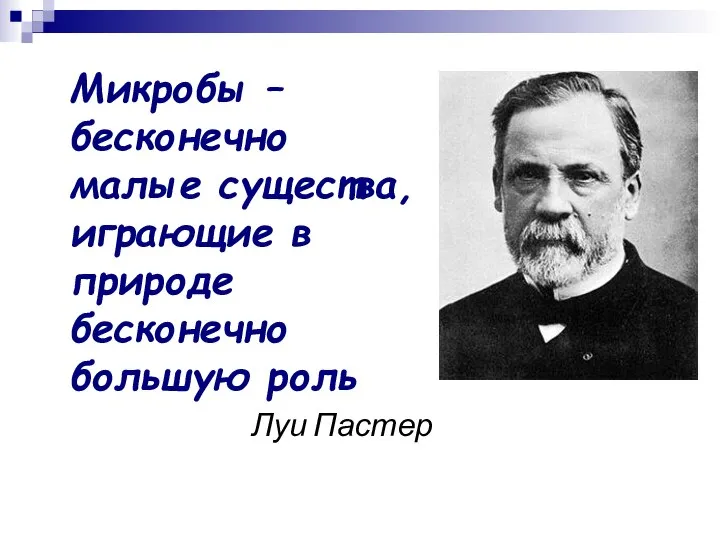 Микробы – бесконечно малые существа, играющие в природе бесконечно большую роль Луи Пастер