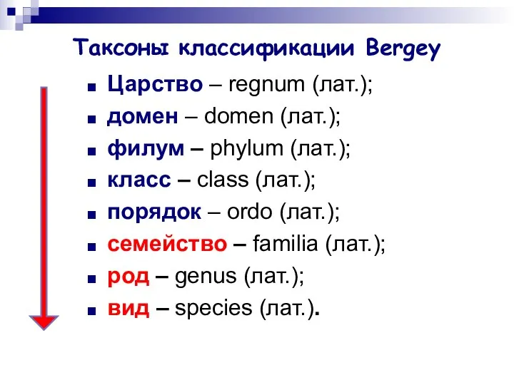 Таксоны классификации Bergey Царство – regnum (лат.); домен – domen (лат.);