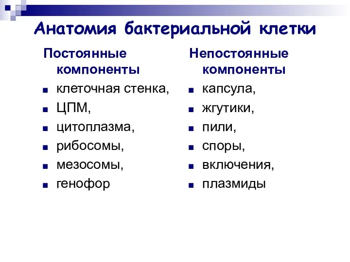 Анатомия бактериальной клетки Постоянные компоненты клеточная стенка, ЦПМ, цитоплазма, рибосомы, мезосомы,