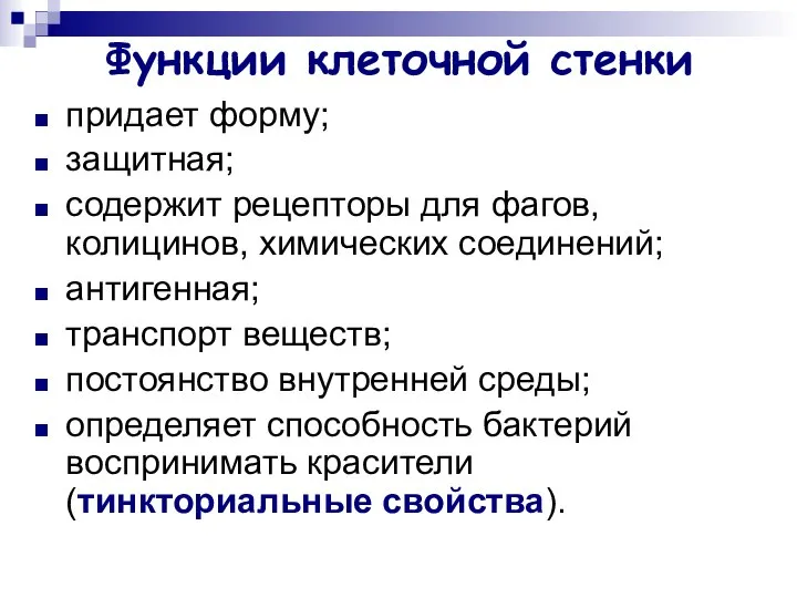 Функции клеточной стенки придает форму; защитная; содержит рецепторы для фагов, колицинов,