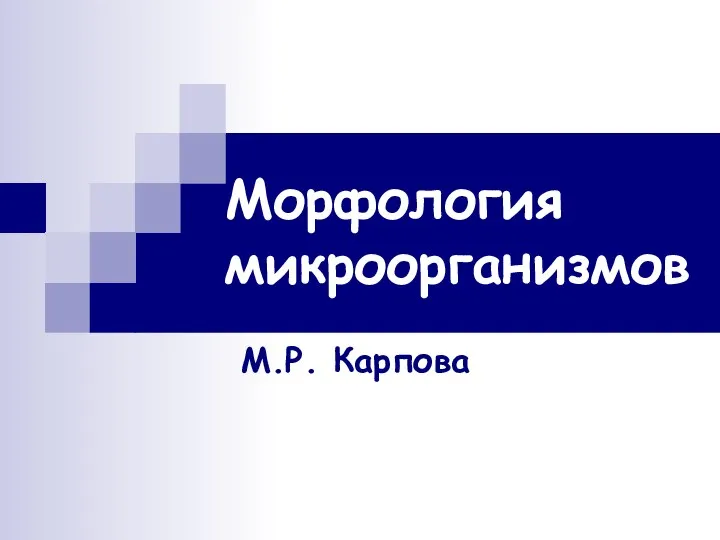 Морфология микроорганизмов М.Р. Карпова