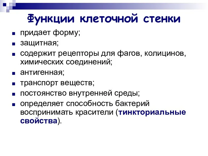 Функции клеточной стенки придает форму; защитная; содержит рецепторы для фагов, колицинов,