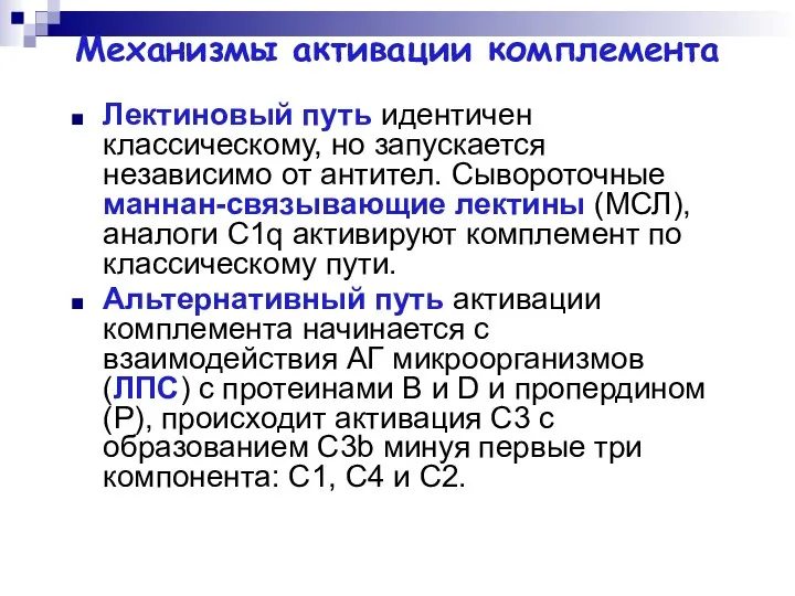 Механизмы активации комплемента Лектиновый путь идентичен классическому, но запускается независимо от