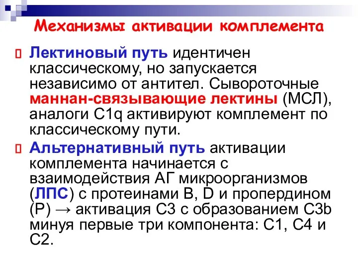 Механизмы активации комплемента Лектиновый путь идентичен классическому, но запускается независимо от