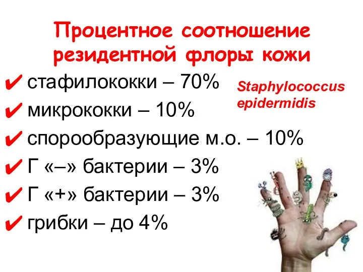 Процентное соотношение резидентной флоры кожи стафилококки – 70% микрококки – 10%