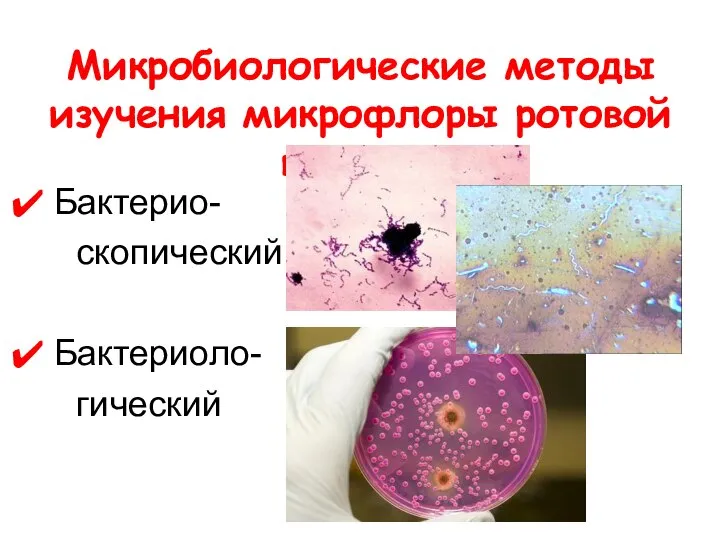 Микробиологические методы изучения микрофлоры ротовой полости Бактерио- скопический Бактериоло- гический