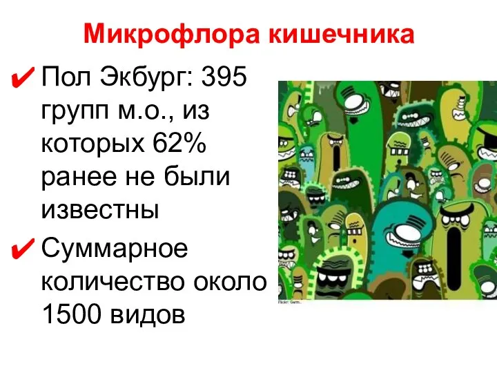 Микрофлора кишечника Пол Экбург: 395 групп м.о., из которых 62% ранее