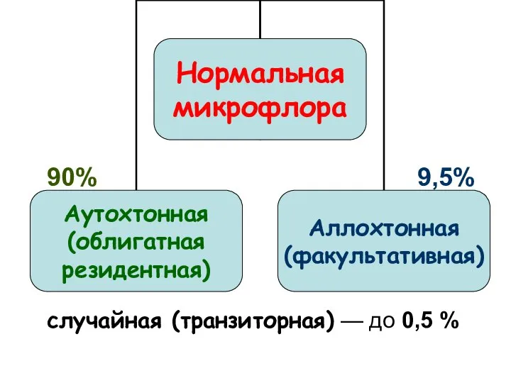 90% 9,5% случайная (транзиторная) — до 0,5 %